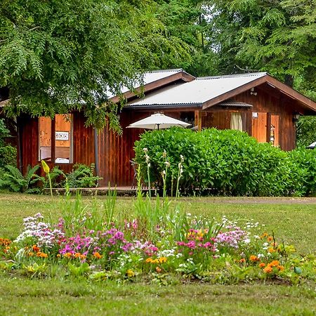 Cabanas Aylen Pucón Exterior foto